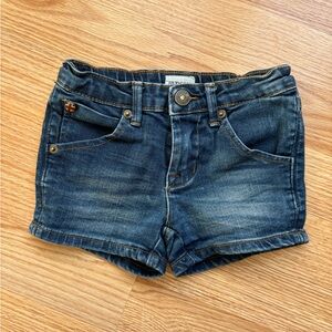 Hudson Jean shorts